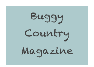 Buggy
Country
Magazine
