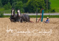 Lewis Family Threshing Day 2024